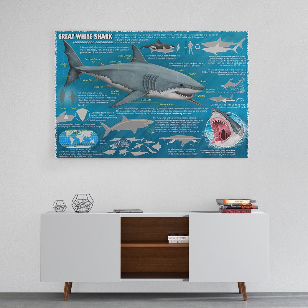Gearhumans 3D Great White Shark Canvas 3 Gearhumans 3D Great White Shark Canvas - Image 3