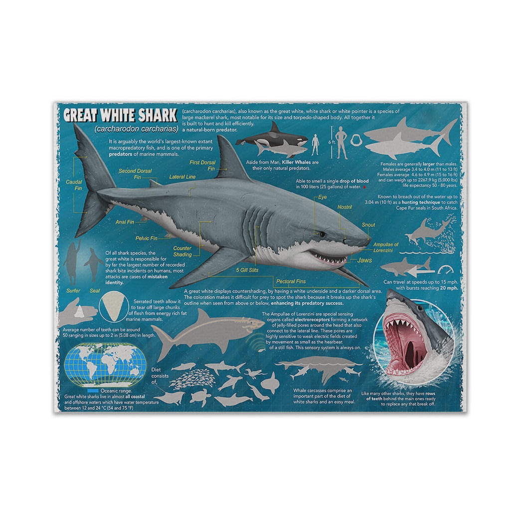 Gearhumans 3D Great White Shark Canvas 1 Gearhumans 3D Great White Shark Canvas